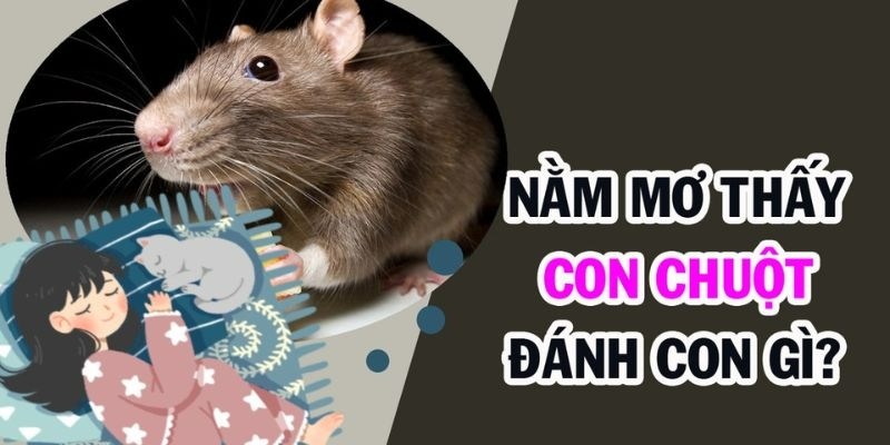 Nằm Mơ Thấy Chuột Là Điềm Gì? Giải Mã Ý Nghĩa Và Con Số May Mắn Cùng Top88