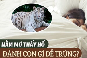 Giải Mã Giấc Mơ Thấy Hổ: Điềm Báo và Con Số May Mắn 2 Giải Mã Giấc Mơ Thấy Hổ: Điềm Báo và Con Số May Mắn