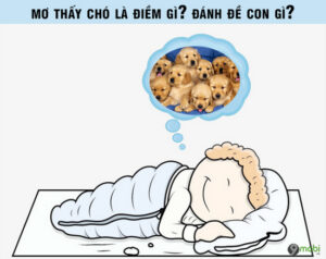 Mơ Thấy Chó Đánh Con Gì Để Trúng Lớn? Cùng Top88 Giải Mã Chi Tiết 3 Mơ Thấy Chó Đánh Con Gì Để Trúng Lớn? Cùng Top88 Giải Mã Chi Tiết