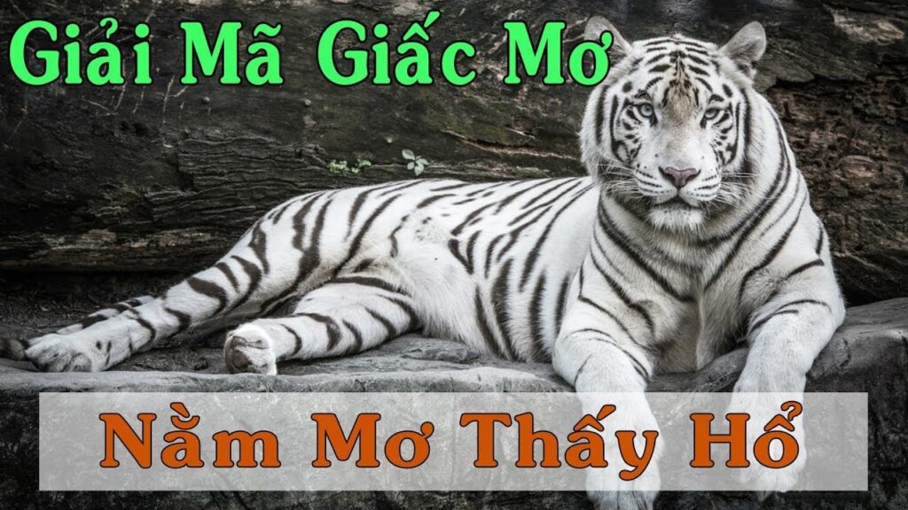 Giải Mã Giấc Mơ Thấy Hổ: Điềm Báo và Con Số May Mắn 1 Giải Mã Giấc Mơ Thấy Hổ: Điềm Báo và Con Số May Mắn